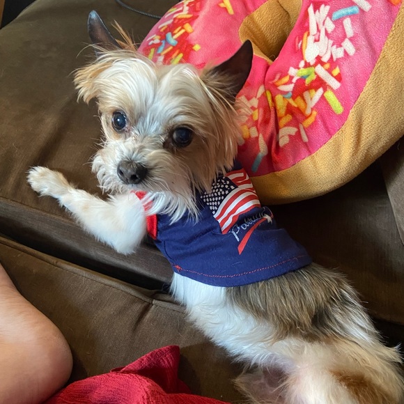 Meet your Posher, A - Picture 2 of 2